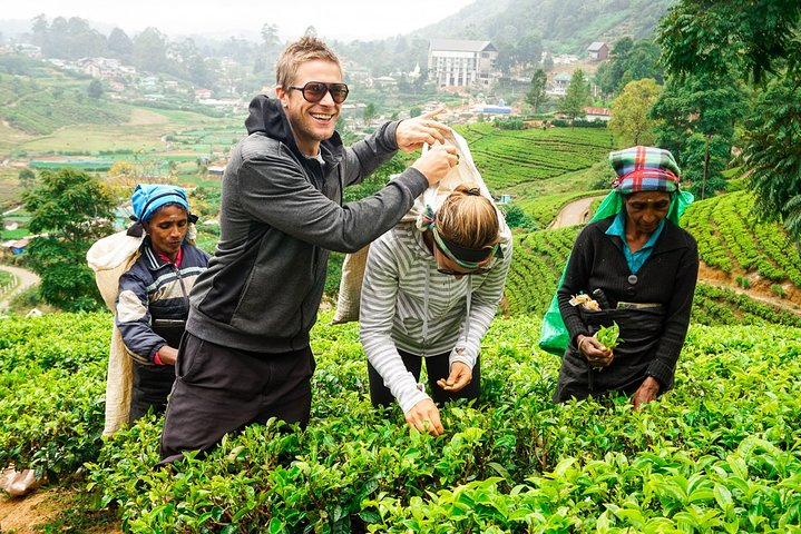 Nuwara Eliya Highlands from Kandy - Photo 1 of 8